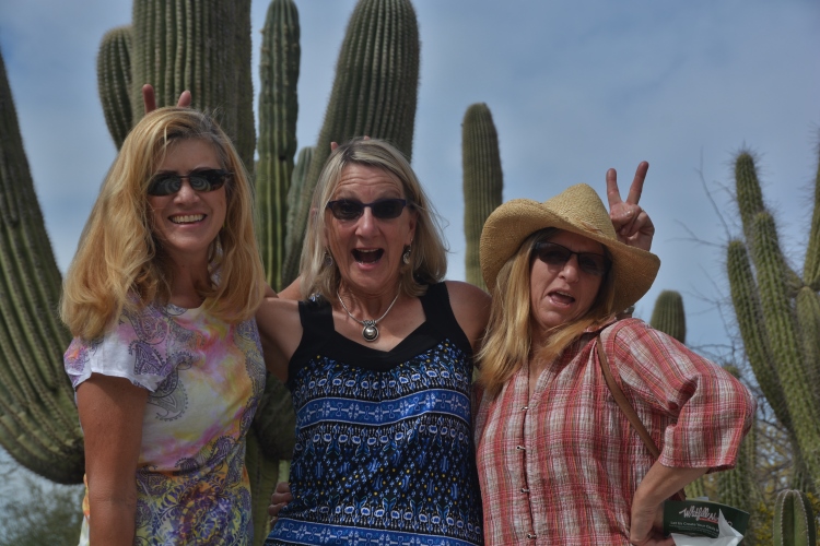 at Desert Botanical Garden, Phoenix